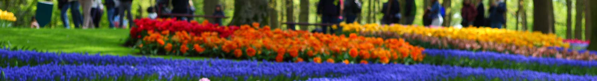 top-banner